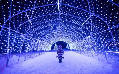 Celebrating with Snow – A look at Hokkaido’s Stunning Ice Festivals