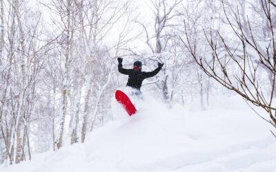 Shiga Kogen – Super Early Bird 2025/26