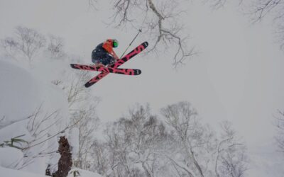 Winter Activities 2024/2025